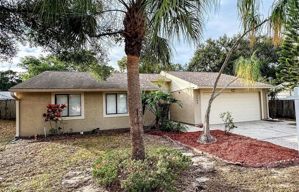 Photo of 2884 Cinnamon Bear Trl, Palm Harbor, FL 34684 (MLS # TB8446174)