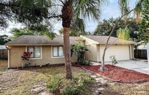 2884 CINNAMON BEAR TRAIL PALM HARBOR FL 34684