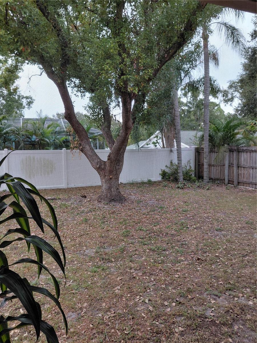 CINNAMON HILL - Residential