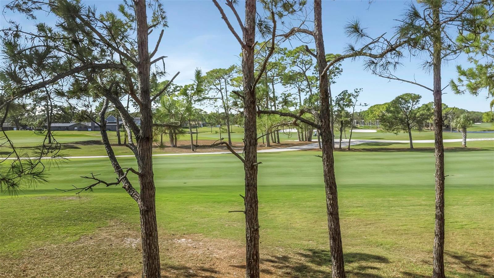 AUDUBON CONDO AT FEATHER SOUND - Residential