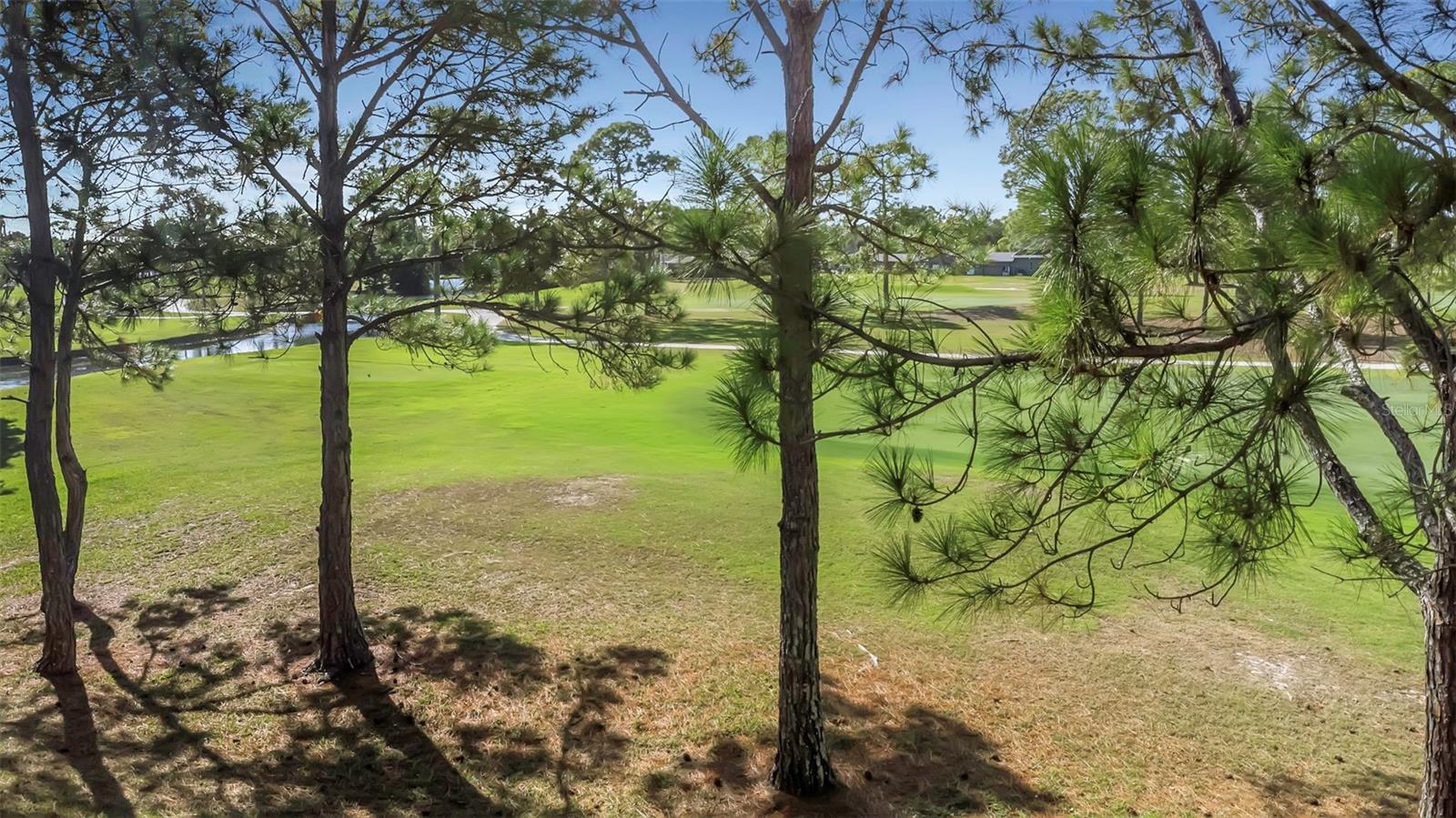 AUDUBON CONDO AT FEATHER SOUND - Residential