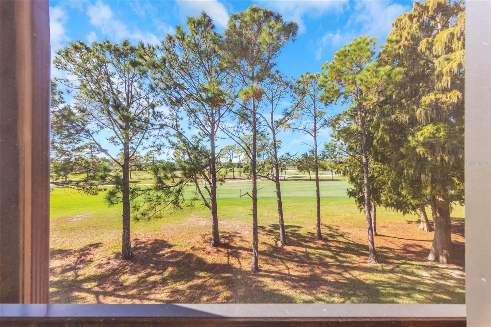 AUDUBON CONDO AT FEATHER SOUND - Residential