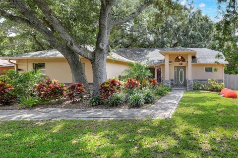 1300 ARIANA WOODS CIRCLE AUBURNDALE FL 33823