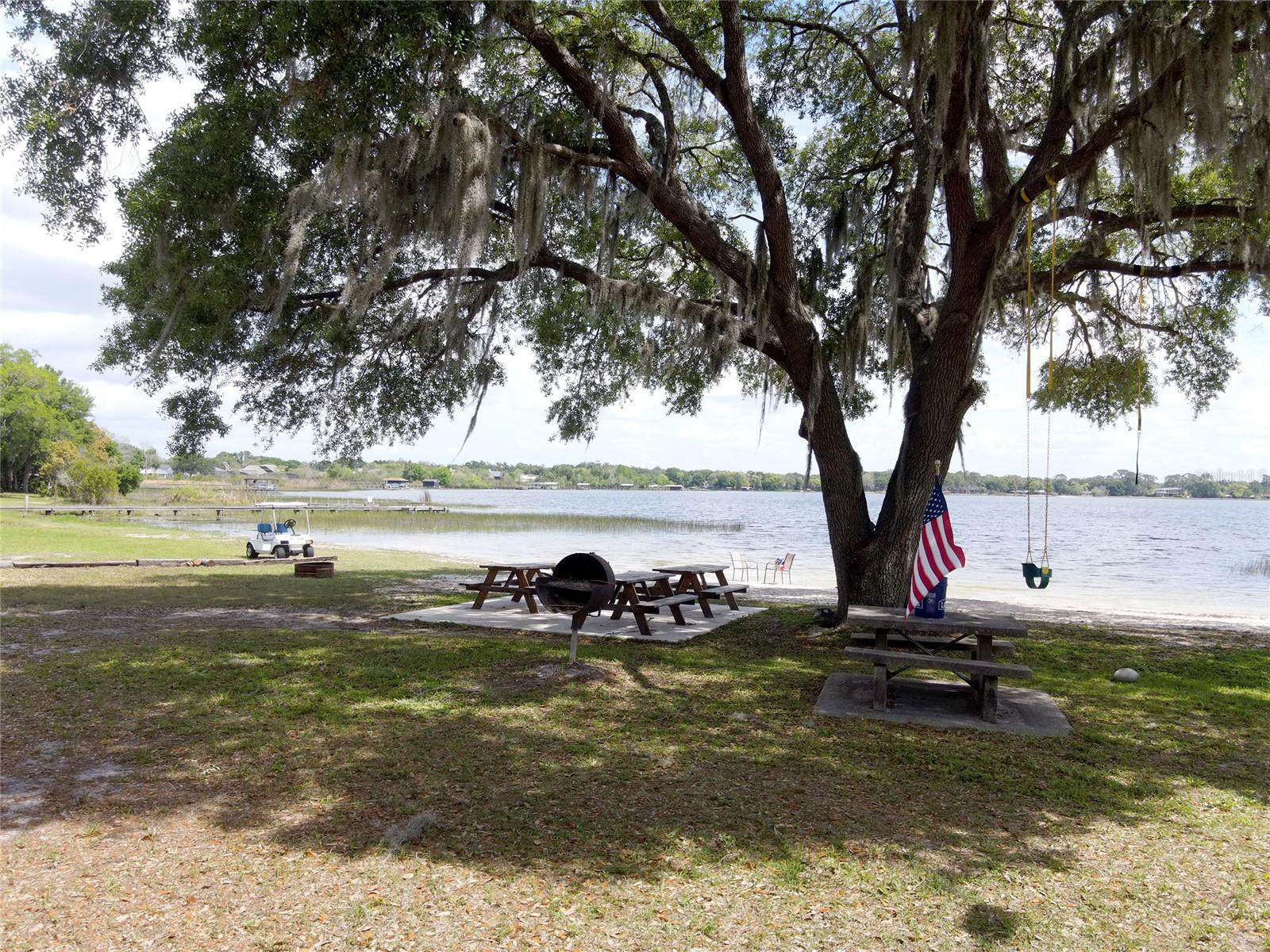 JOANNA SHORES - Land