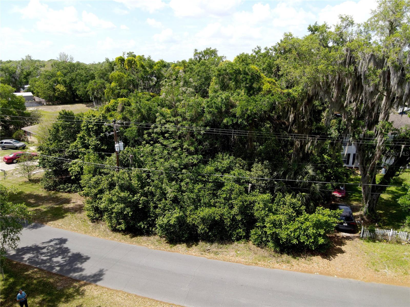 JOANNA SHORES - Land