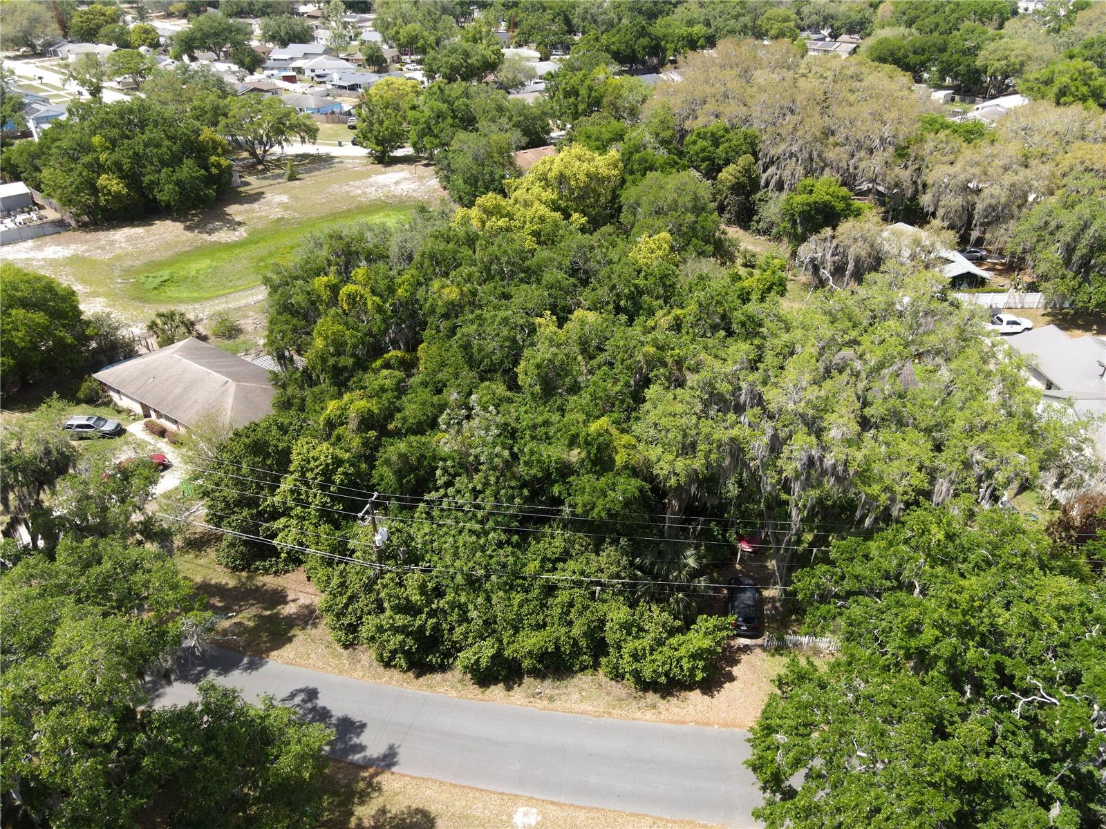 JOANNA SHORES - Land