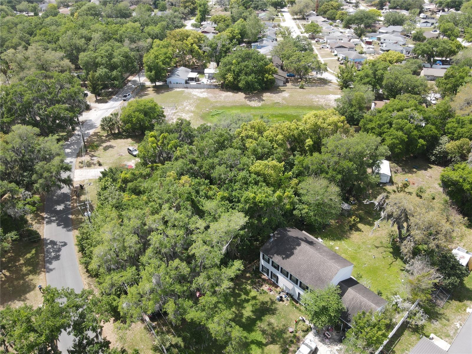 JOANNA SHORES - Land