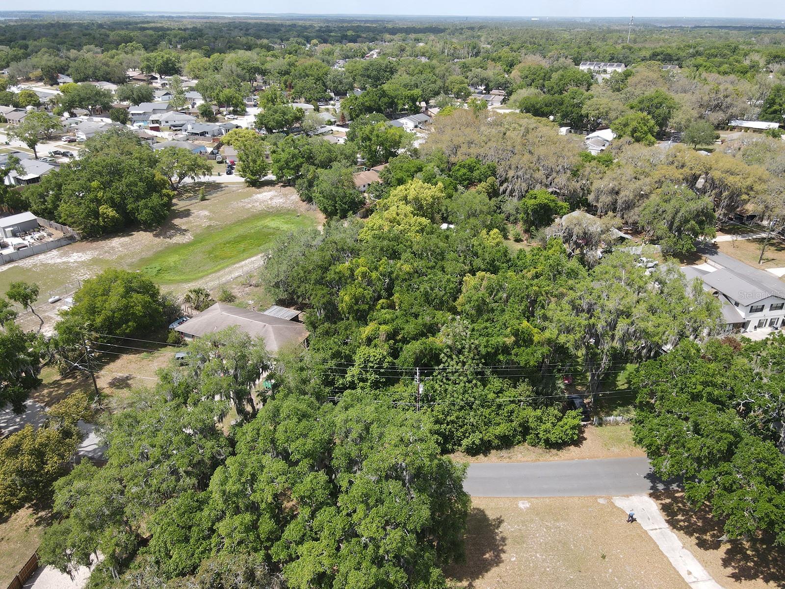 JOANNA SHORES - Land