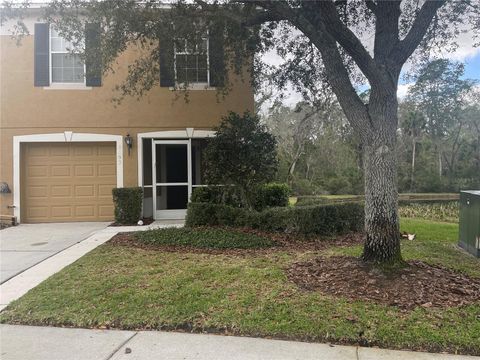 Photo of 4153 Winding River Way, Land O Lakes, FL 34639 (MLS # TB8456720)