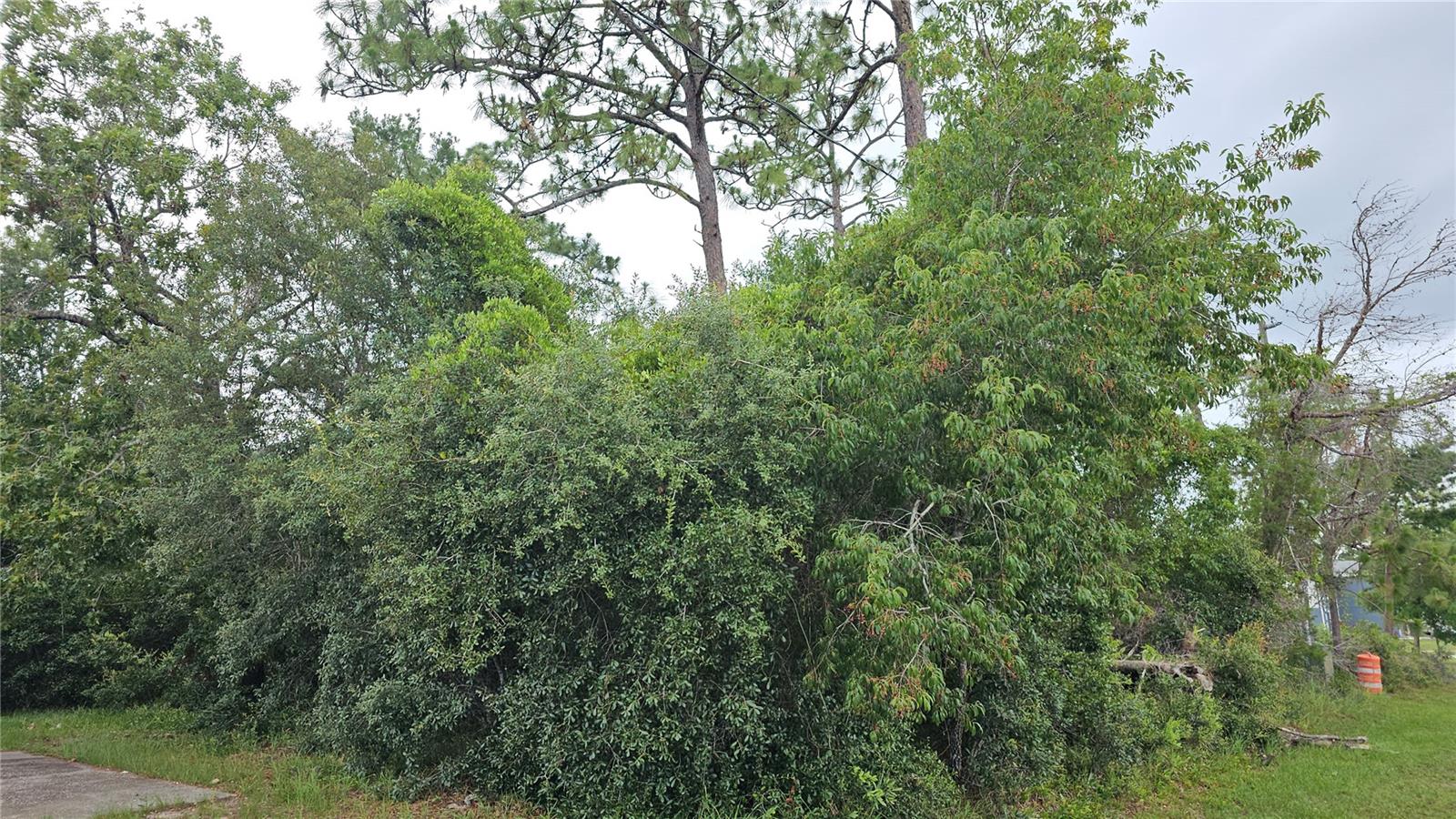 1349 LODGE TERRACE