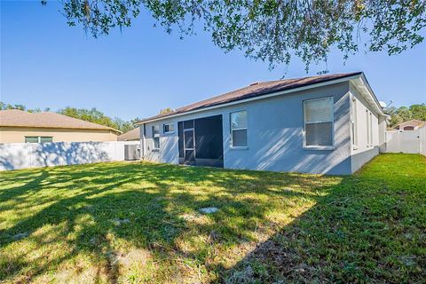 A home in ZEPHYRHILLS