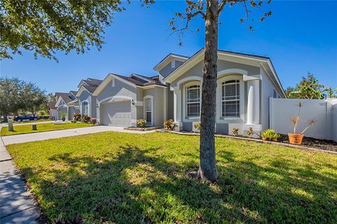 A home in ZEPHYRHILLS