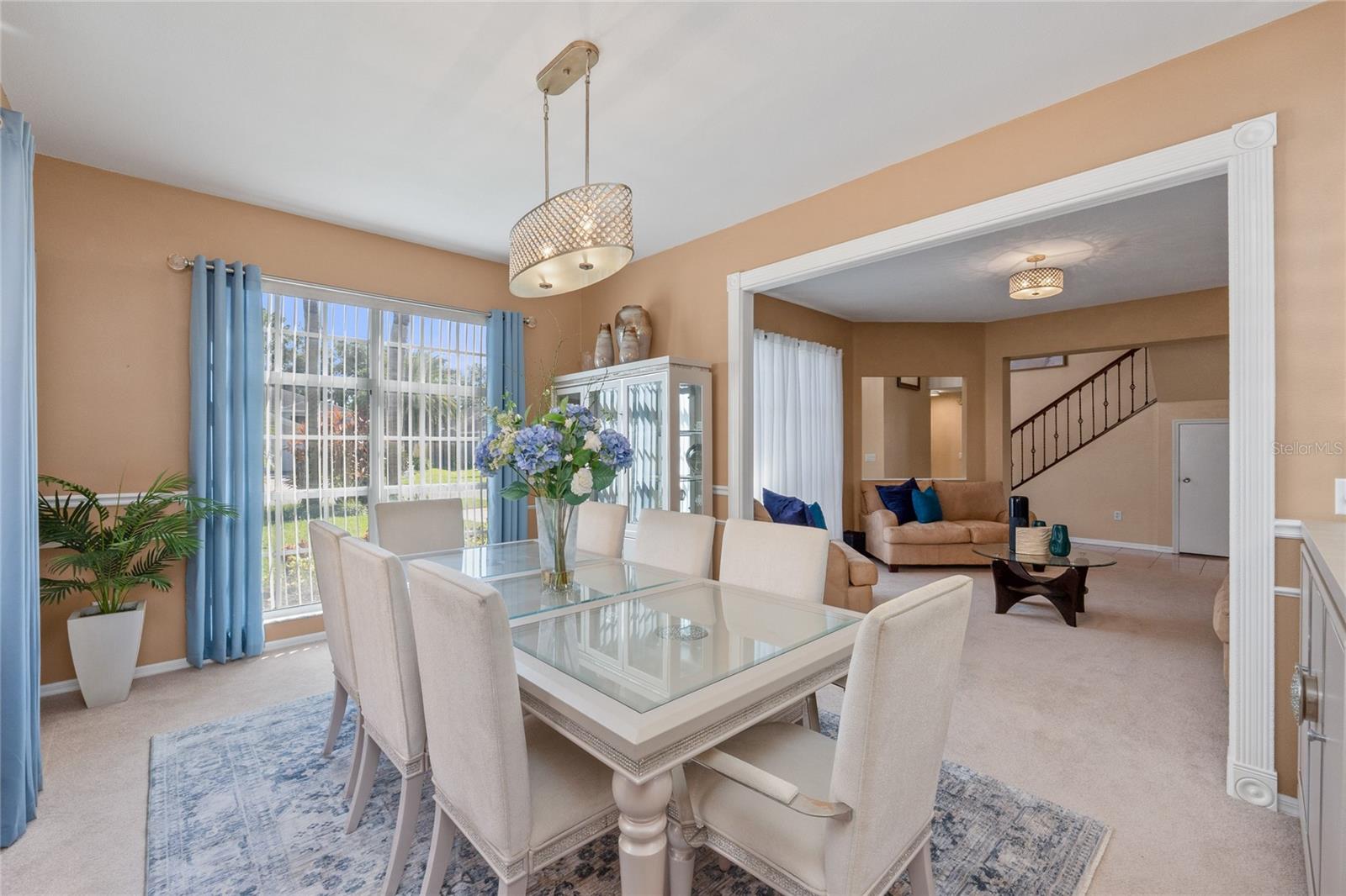 WINDSOR PARK AT THE EAGLES - Residential