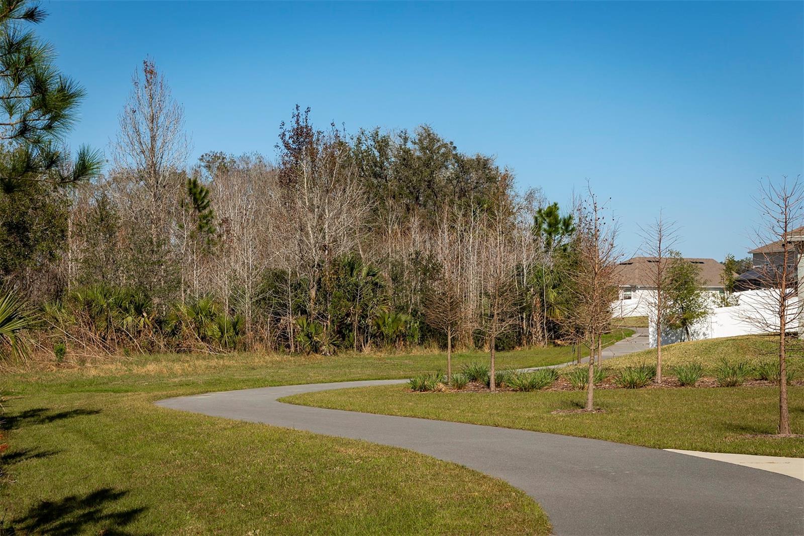 RIVINGTON - Residential