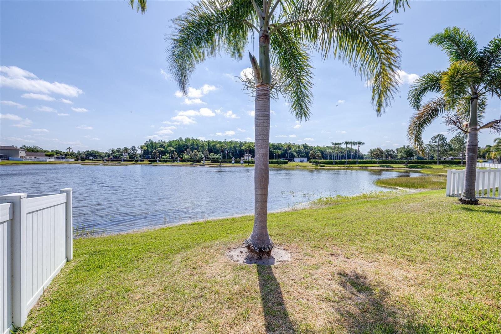 TRINITY PRESERVE - Residential