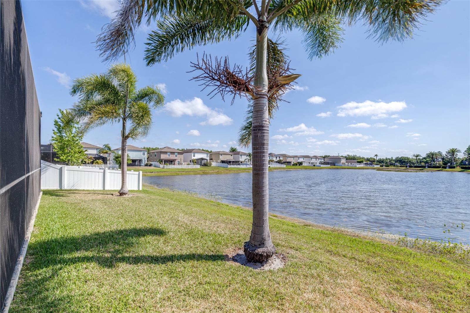 TRINITY PRESERVE - Residential