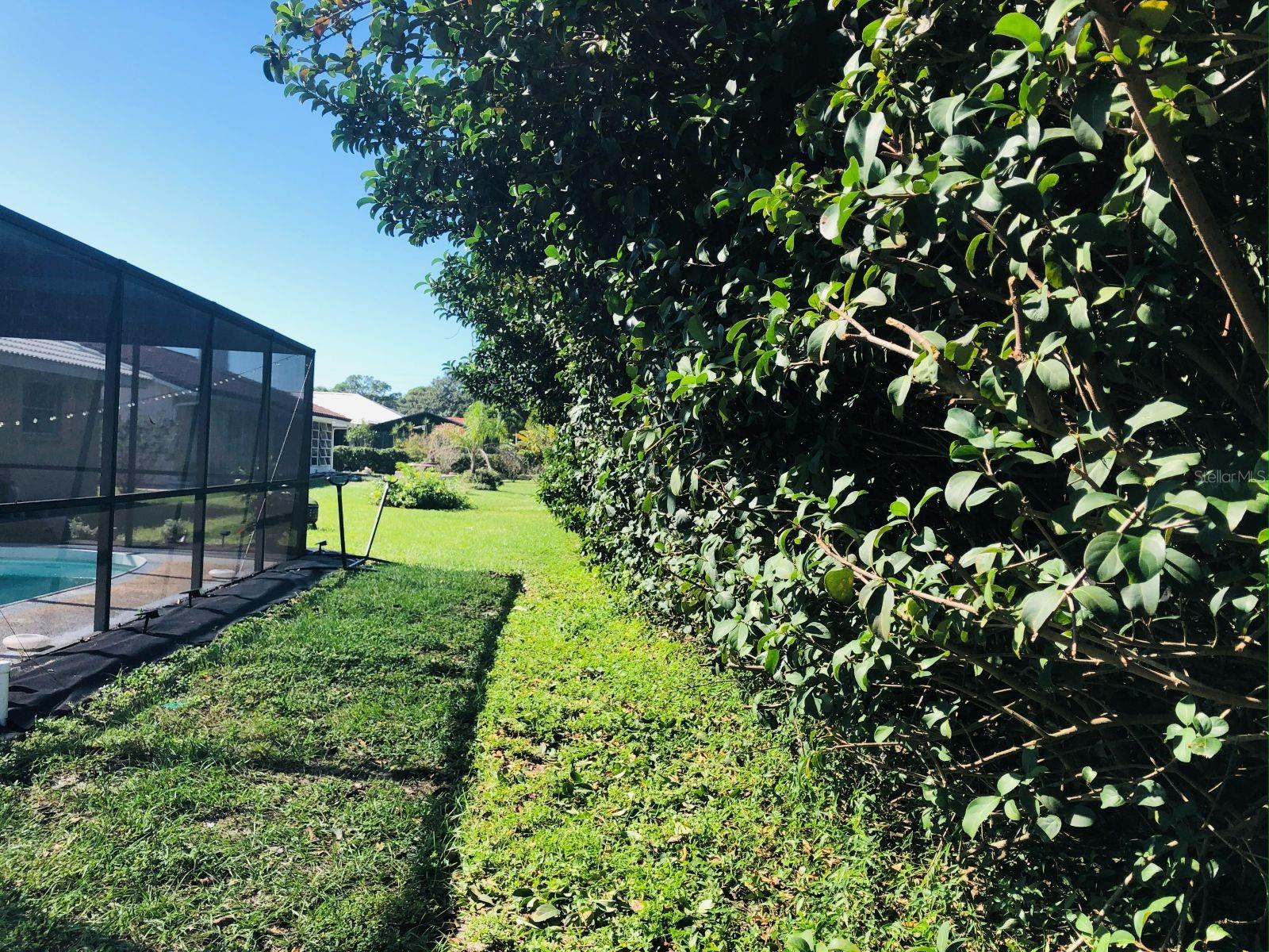 SORRENTO EAST - Residential