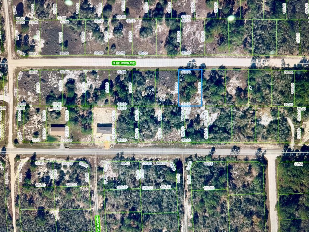 Photo of 329 Blue Moon Avenue, Lake Placid, FL 33852 (MLS # OM706391)