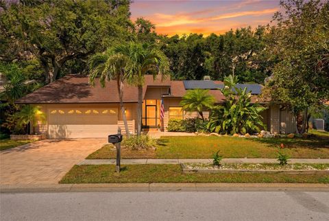Photo of 4733 Lake Valencia Boulevard W, Palm Harbor, FL 34684 (MLS # TB8525852)