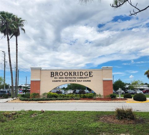 A home in BROOKSVILLE