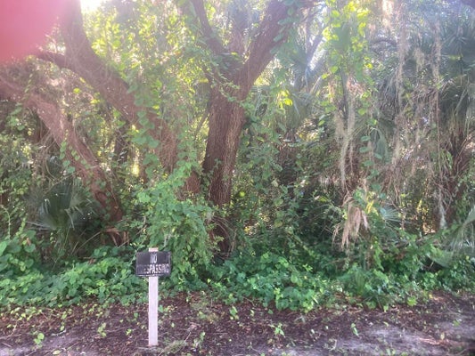 NANCY ST, OAK HILL, FL 32759 - Image bb3ffe88fd739b76e0ee3e99c3ce5006/3211411397