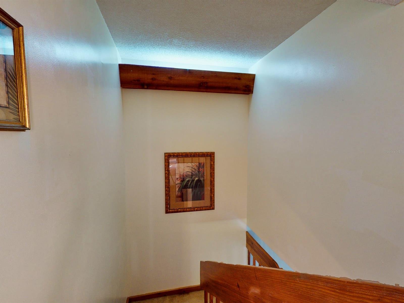 Cedar Dunes Condo Ph 01-05 - Residential