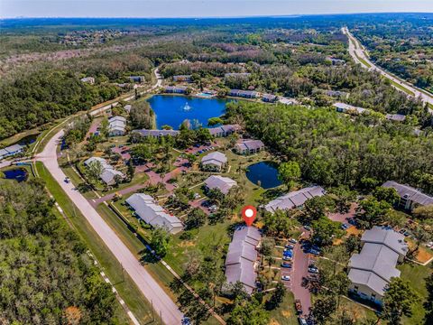 Photo of 1333 Shady Pine Way #F, Tarpon Springs, FL 34688 (MLS # TB8364422)