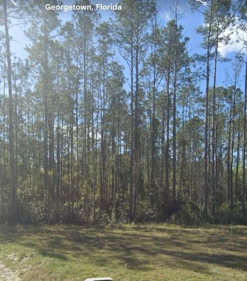 125 PINE CONE DRIVE GEORGETOWN FL 32139