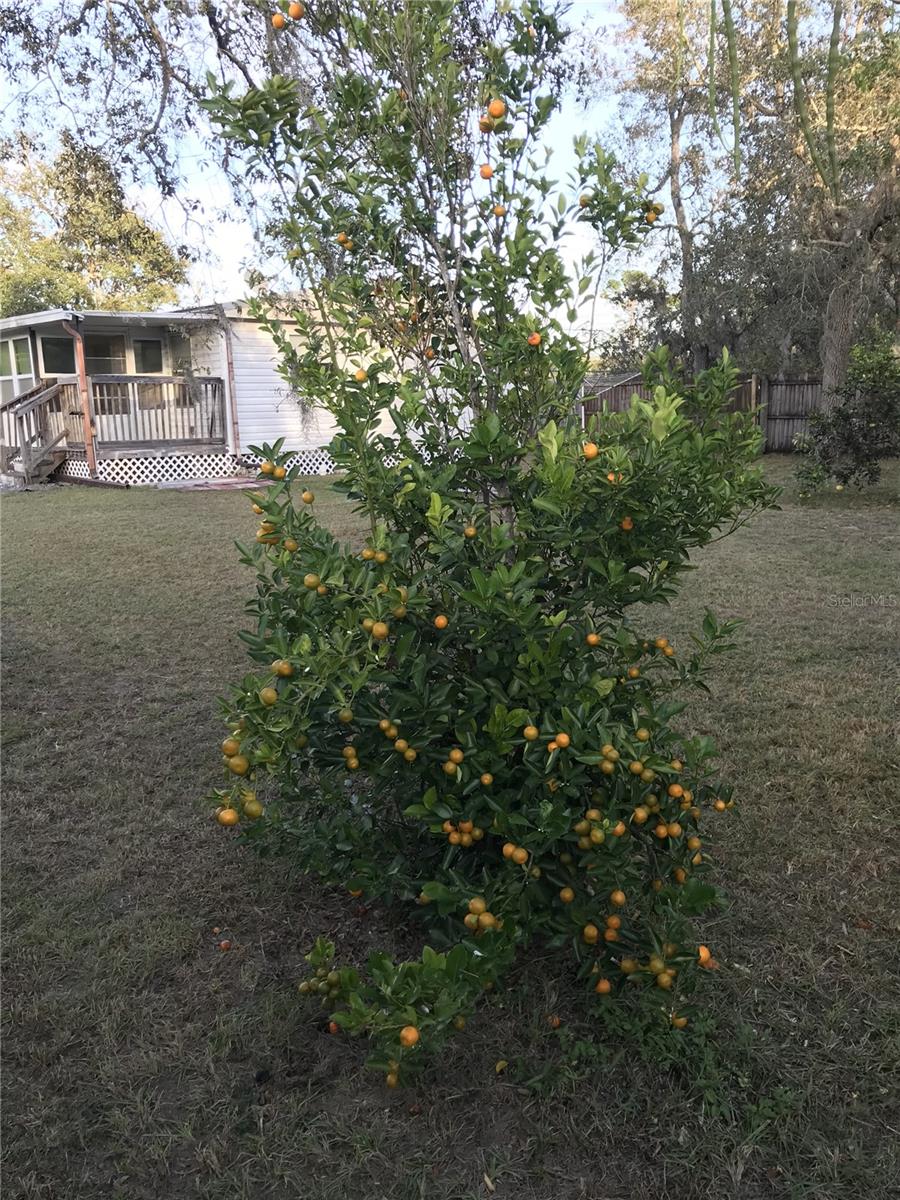 WEEKI WACHEE - Residential