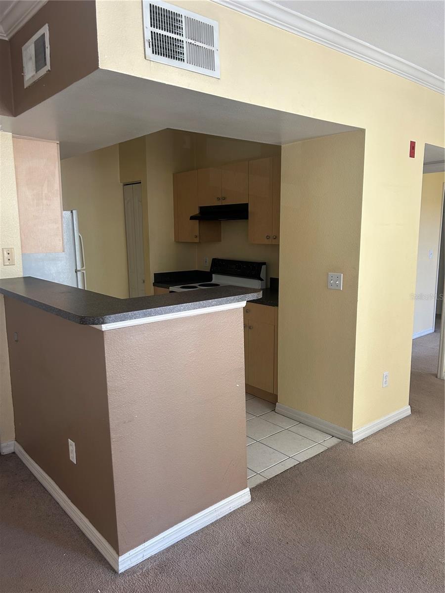 SIENA AT CELEBRATION CONDO B - Residential