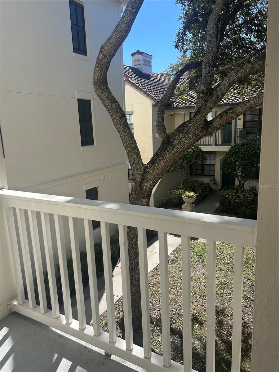 SIENA AT CELEBRATION CONDO B - Residential