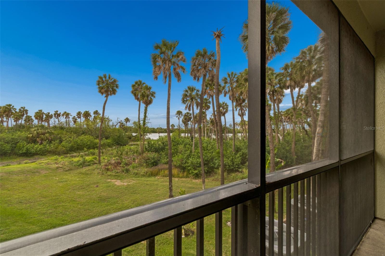 PALM RIVER TWNHMS PH 2 - Residential