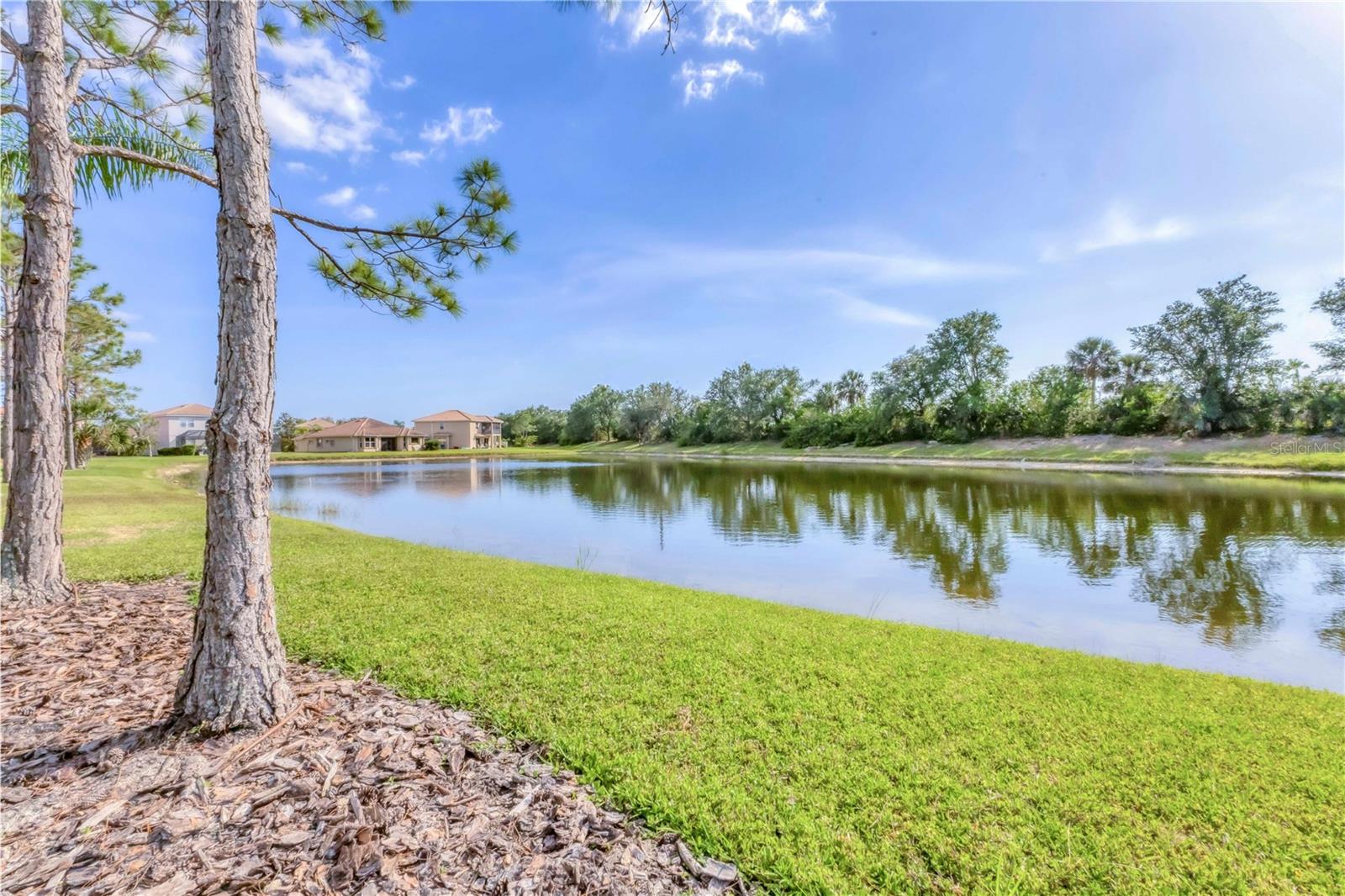 STONEYBROOK AT VENICE - Residential