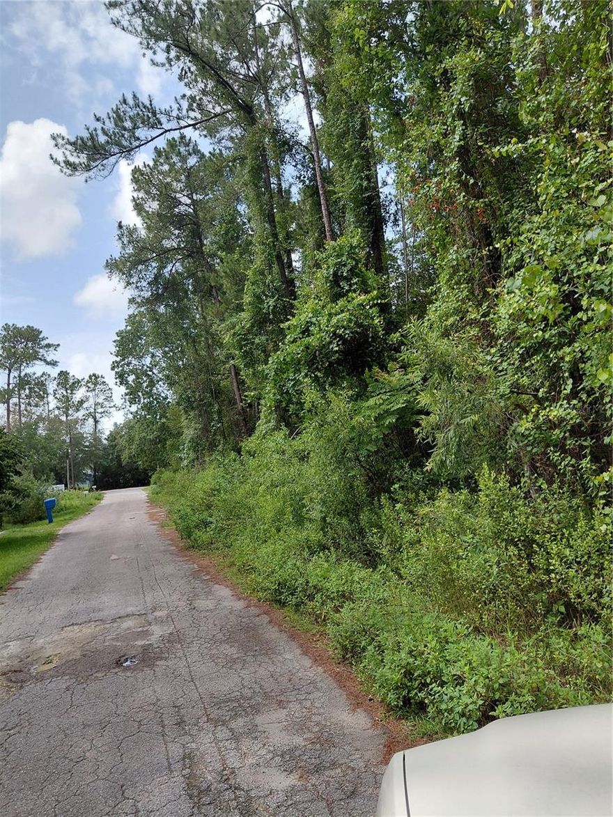VACANT, BUILDABLE, WOODED, LEVEL, RESIDENTIAL LOT, 90ft X 120Ft, ON A PAVED ROAD WITH WATER AND SEWER AVAILABLE TO HOOK UPTO, AT THE STREET.  LOCATED ON A DEAD END STREET. NO SIGN, NO LOCKBOX. COME AND ENJOY THE PEACEFUL AREA OF ASTOR. CLOSE TO THE PUBLIC BOAT RAMP FOR ACCESS TO THE ST JOHNS RIVER, SO YOU CAN FISH OR CRUISE THE RIVER TO SILVER GLEN. CLOSE TO SHOPPING, POST OFFICE, BANK, RESTAURANTS  AND GAS STATION.  WELCOME TO THE BEAUTIFUL TOWN OF ASTOR!