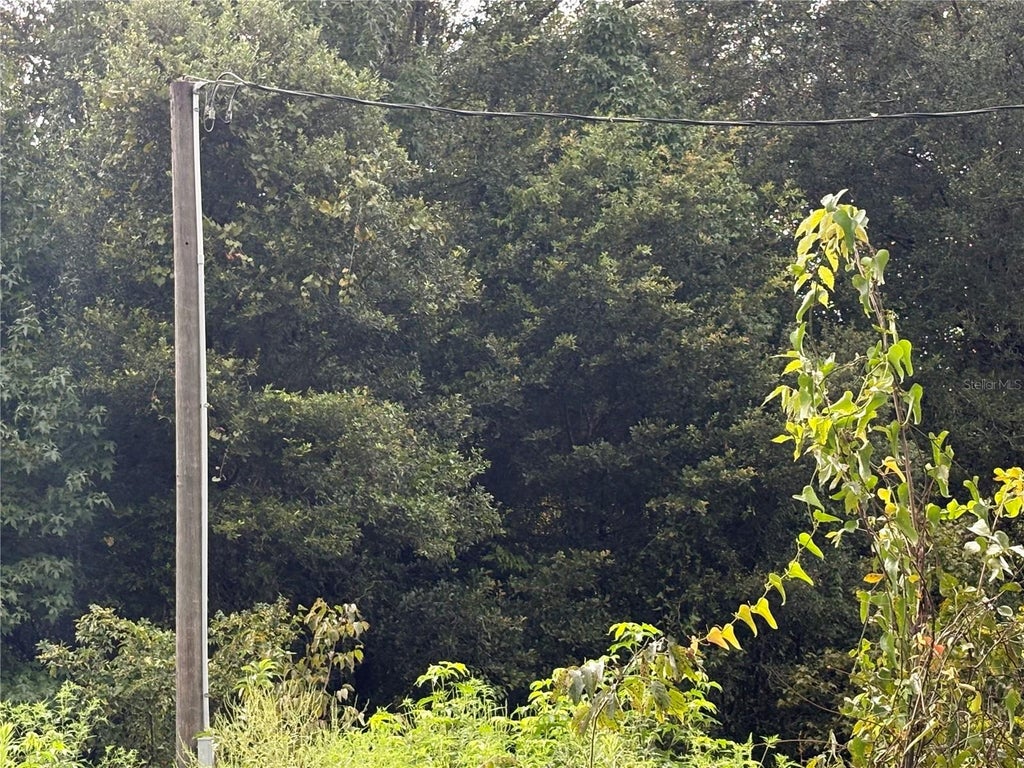 Photo of Hwy 50 &amp; Cr 751, Webster, FL 33597 (MLS # G5117345)