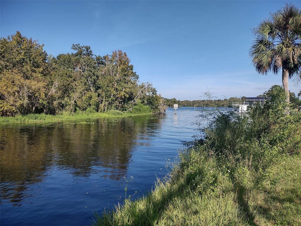 Photo of 56544 Pecan Road, Astor, FL 32102 (MLS # O6367547)