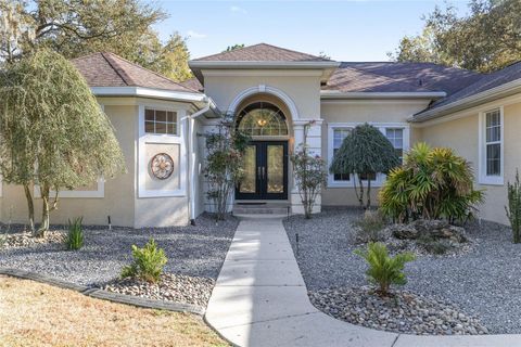 Tiny photo for 898 E Liberty Street, Hernando, FL 34442 (MLS # OM719455)