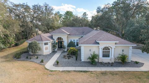 Tiny photo for 898 E Liberty Street, Hernando, FL 34442 (MLS # OM719455)