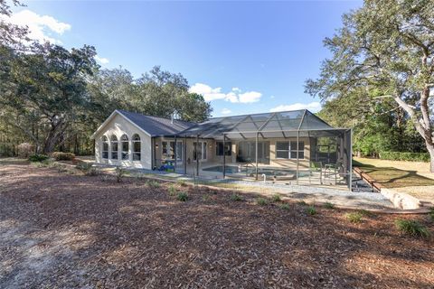 Tiny photo for 898 E Liberty Street, Hernando, FL 34442 (MLS # OM719455)