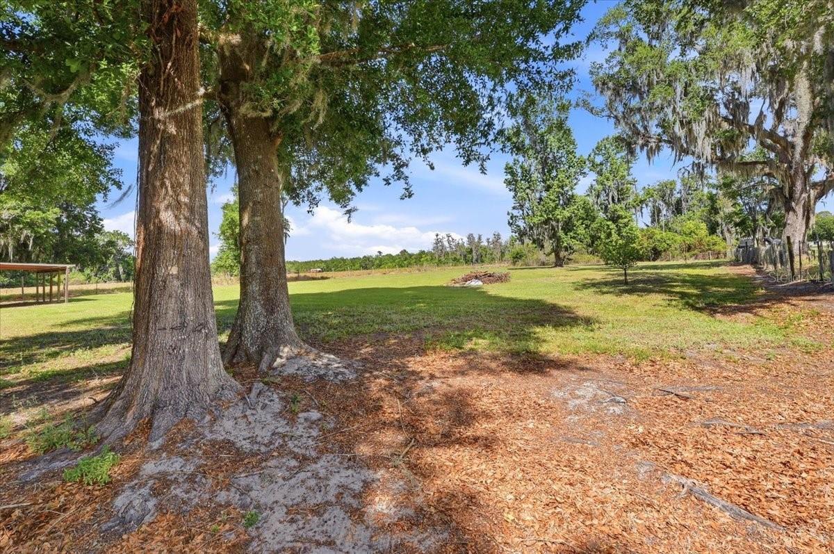 NOT IN SUBDIVISION - Residential