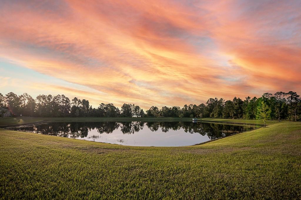 2937 HOODED CRANE COVE