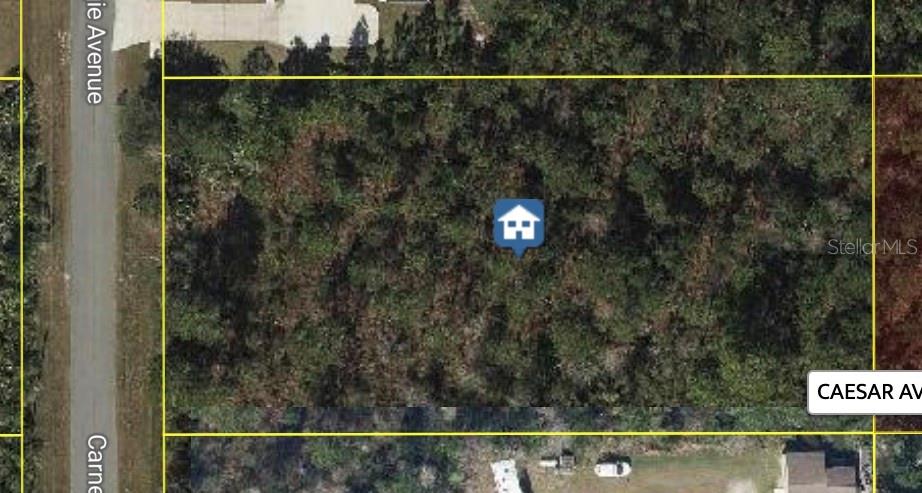 Build your dream home on this exceptional vacant lot in Wedgefield Cape Orlando Estates, one of East Orlando’s most sought-after communities! This expansive lot offers the perfect blend of privacy and natural beauty, nestled among custom-built homes and surrounded by serene Florida landscape. Enjoy the peace and space of country living with convenient access to major highways, the Orlando International Airport, Lake Nona Medical City, UCF, and the Space Coast beaches. Whether you’re looking to build now or invest for the future; this is an outstanding opportunity in a rapidly growing area. Don’t miss your chance to own a piece of paradise in Wedgefield!