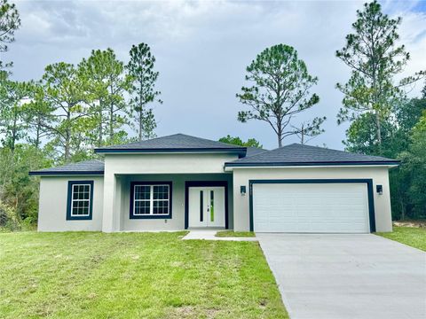 Photo of 7035 N Maltese Drive, Citrus Springs, FL 34433 (MLS # O6320543)