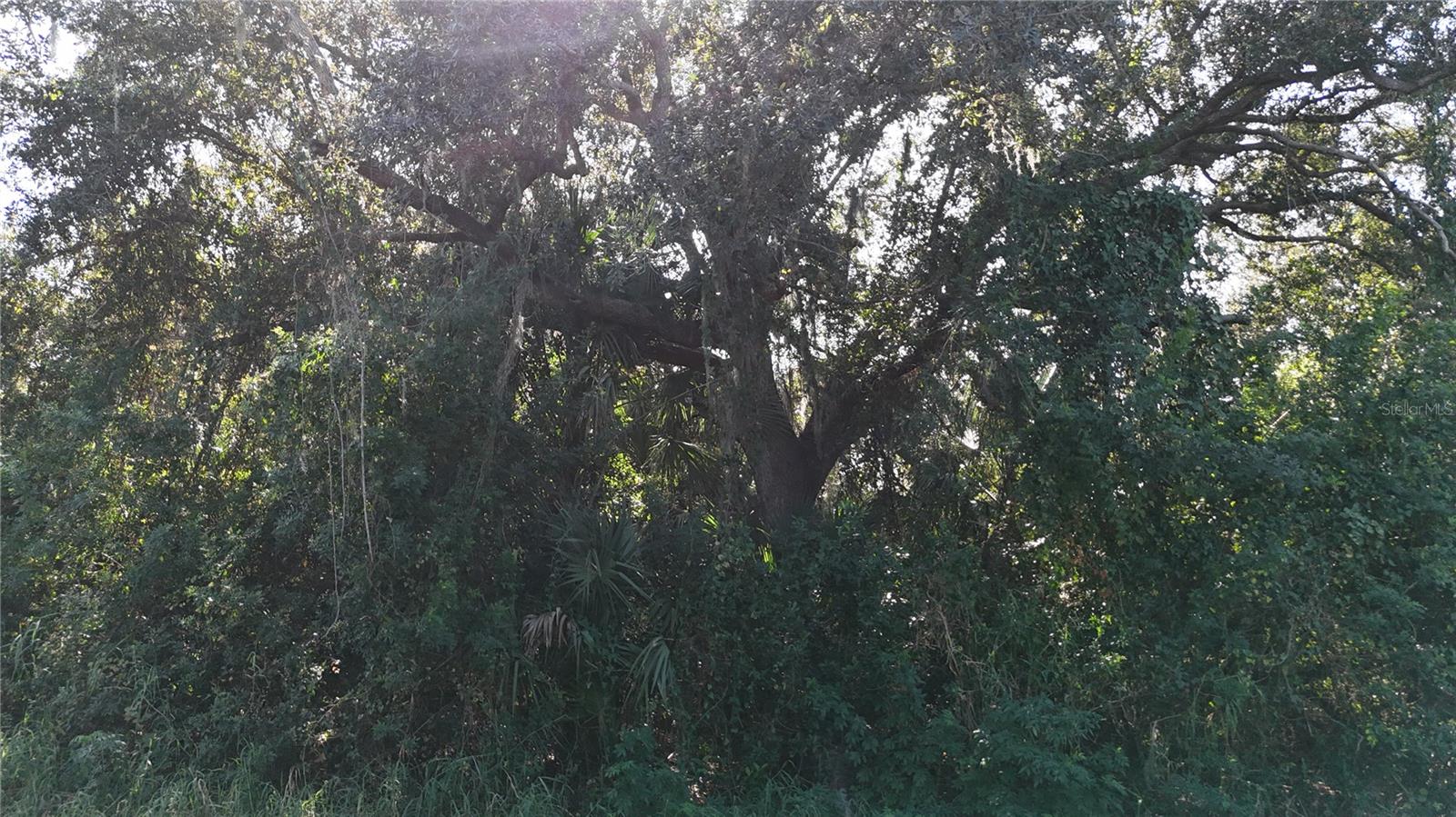 PEACE RIVER SHORES - Land