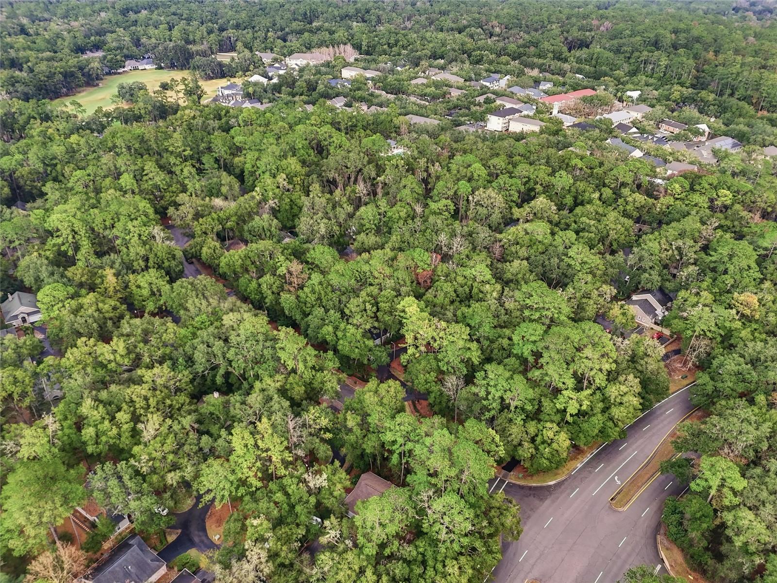 HP/HAILE PLANTATION - Residential