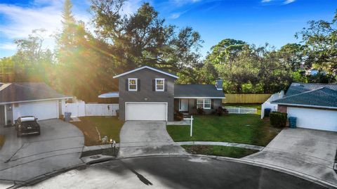 A home in SEMINOLE