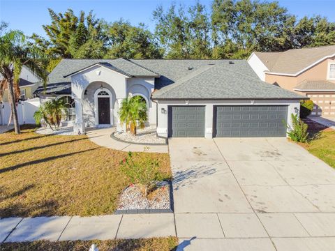 11528 ANDY DRIVE RIVERVIEW FL 33569