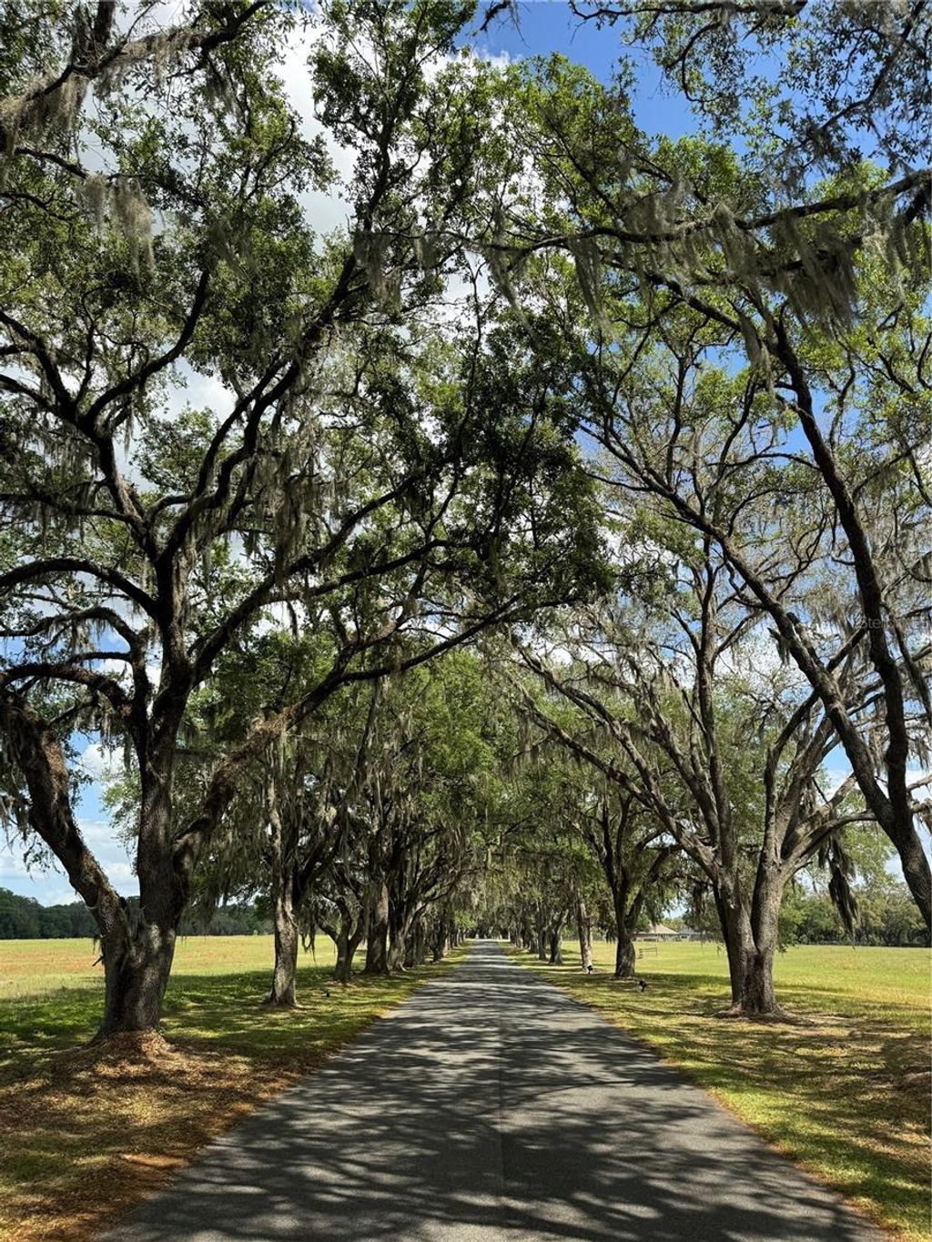 Photo of Tdb SE 7th Court Road, Ocala, FL 34480 (MLS # OM699151)