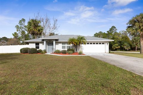 A home in PALM COAST