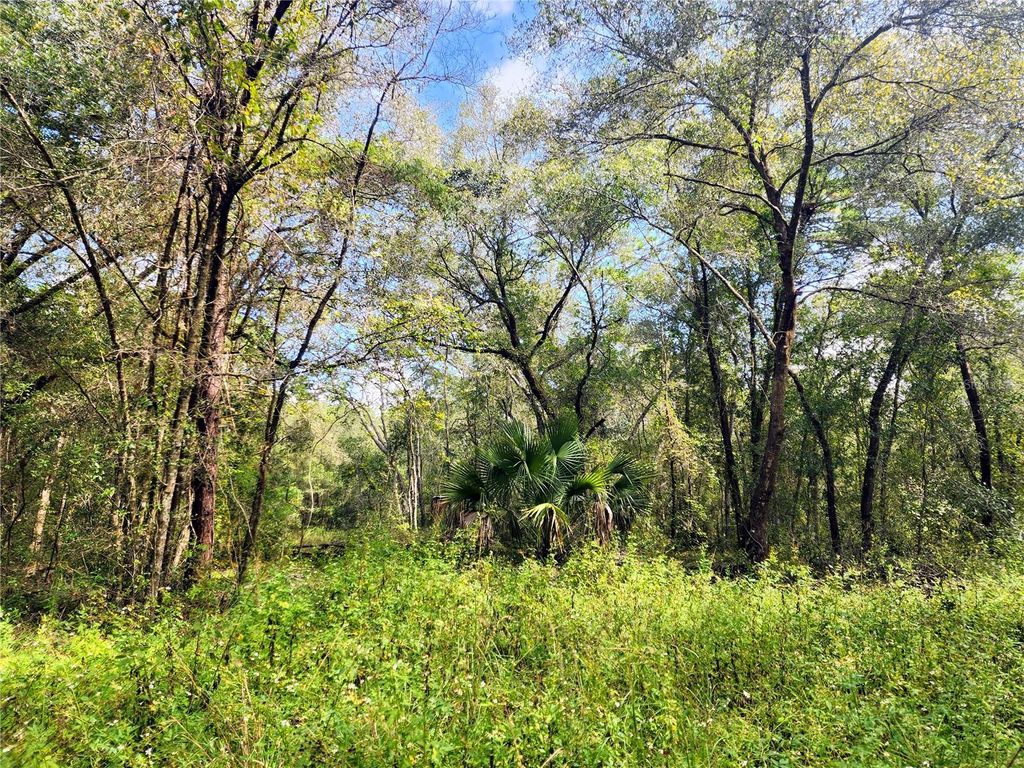 Photo of San Juan Street, Deland, FL 32724 (MLS # V4945292)